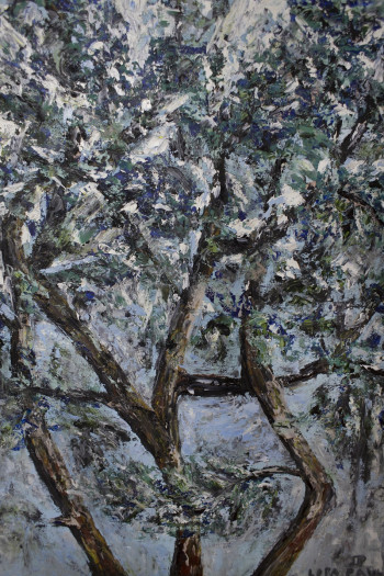 Сосна. Частная коллекция (Беларусь)