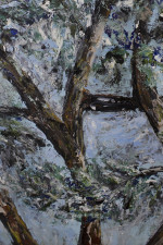 Сосна. Частная коллекция (Беларусь)