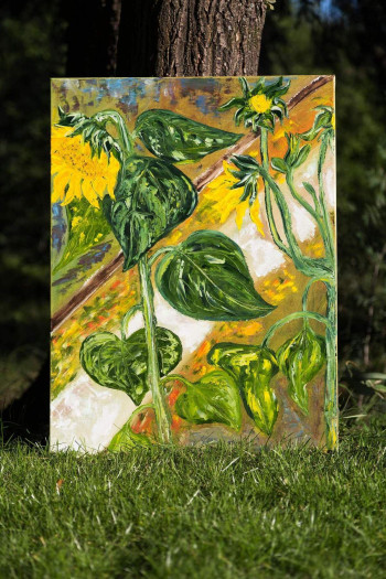 Подсолнухи. Частная коллекция (Беларусь)