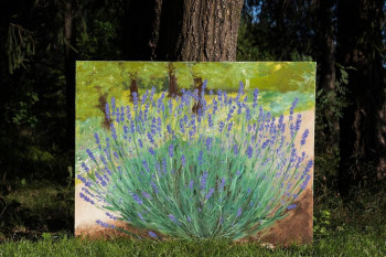 Лаванда в саду. Частная коллекция (Беларусь)