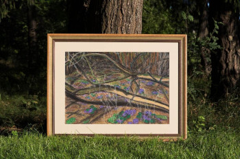 Картина пастелью в раме под стеклом  продается. Подснежники в лесу 50Х60. Частная коллекция 